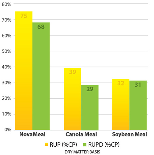 75 RUP Chart.indd