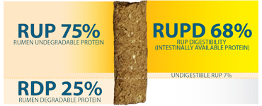 One Complete Package RUP75