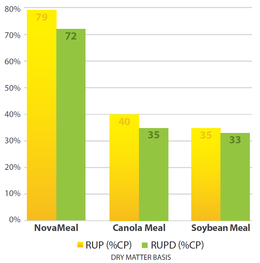 79 RUP Chart