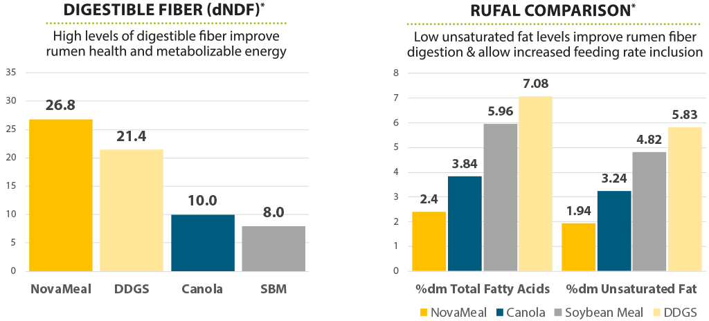 Fiber and Rufal Charts