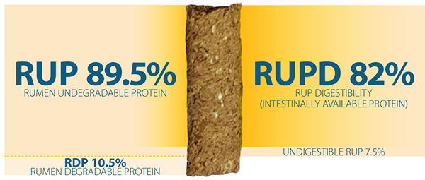 89 RUP & 82 RUPD Pellet graphic