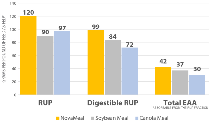 RUP RUPD EAA Charts