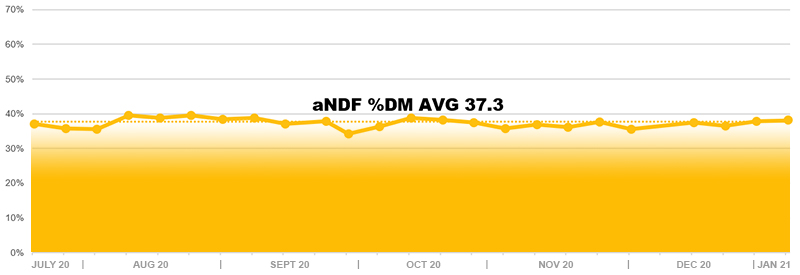 aNDF Chart